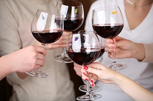 Magnetic Wine Glass Charms Set of 6 K664593