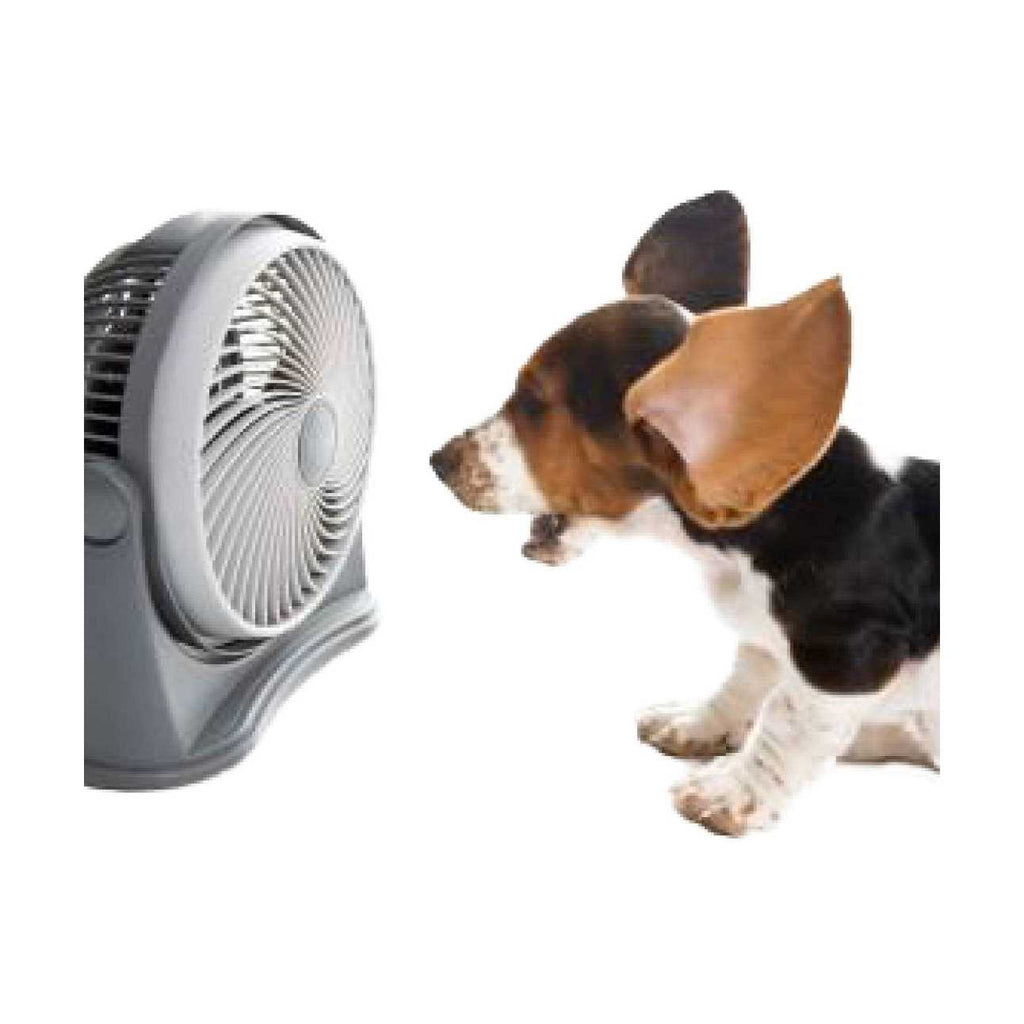 Crate Fan Z5567