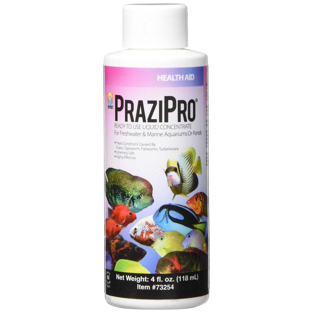 PraziPro O26700