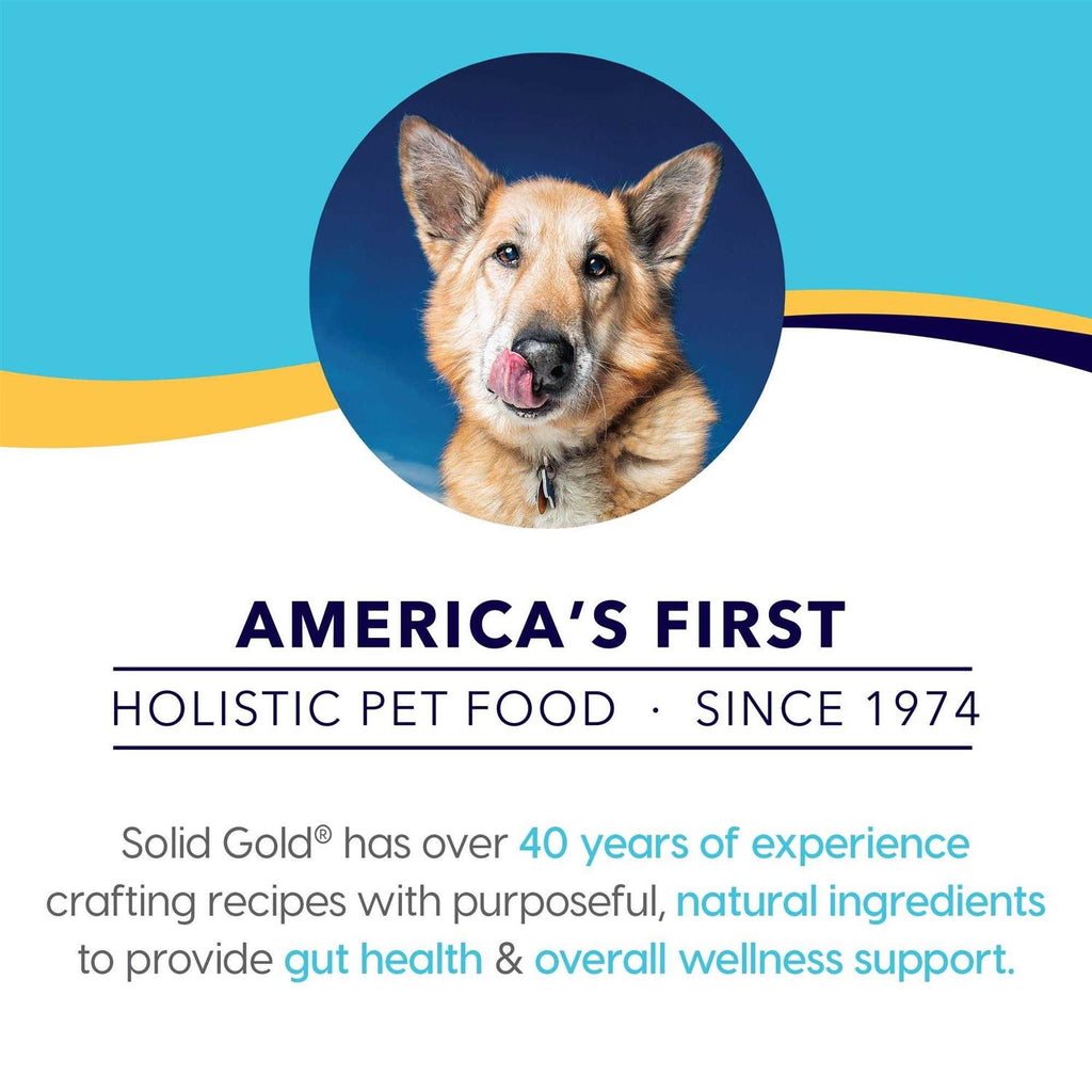 Solid Gold Beef Bone Broth with Turmeric Dog Food Topper O57549
