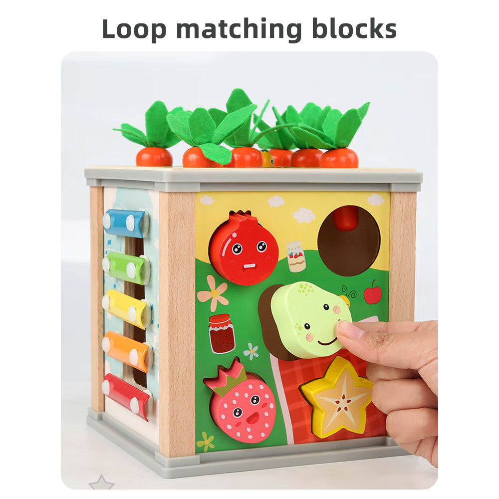 6-in-1 Wooden Blocks Shape Sorter Montessori Toys E95811