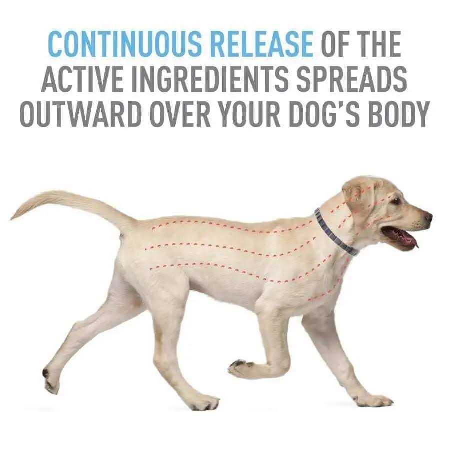 Flea Tick Collar for Dogs Puppies H9976
