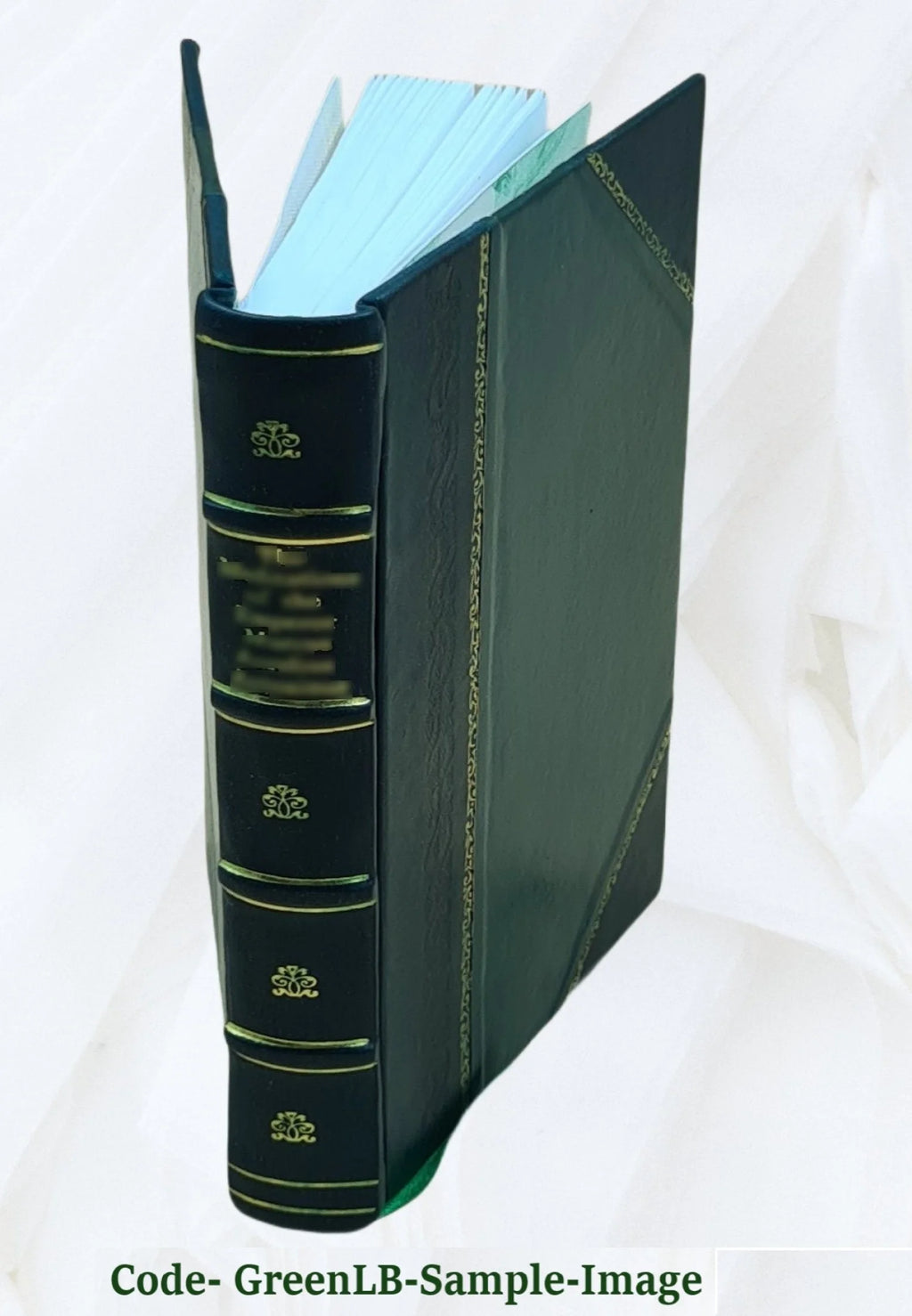 Leather Bound Book W169