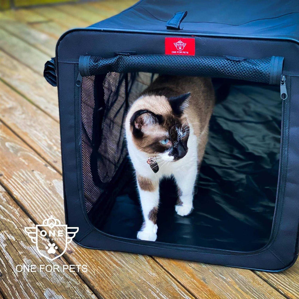 Black Cat Outdoor Playpen with Seatbelt Straps Z960