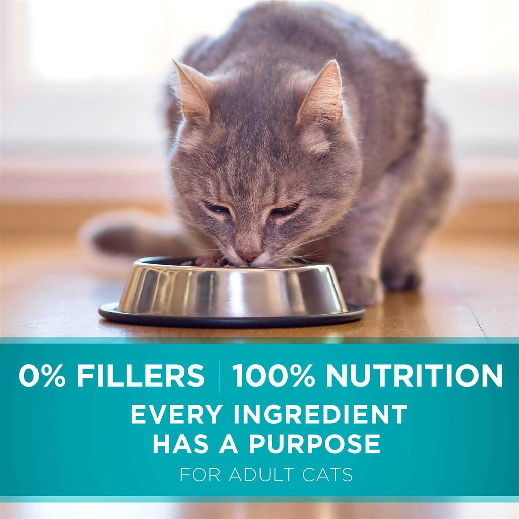 Dry Cat Food B14927