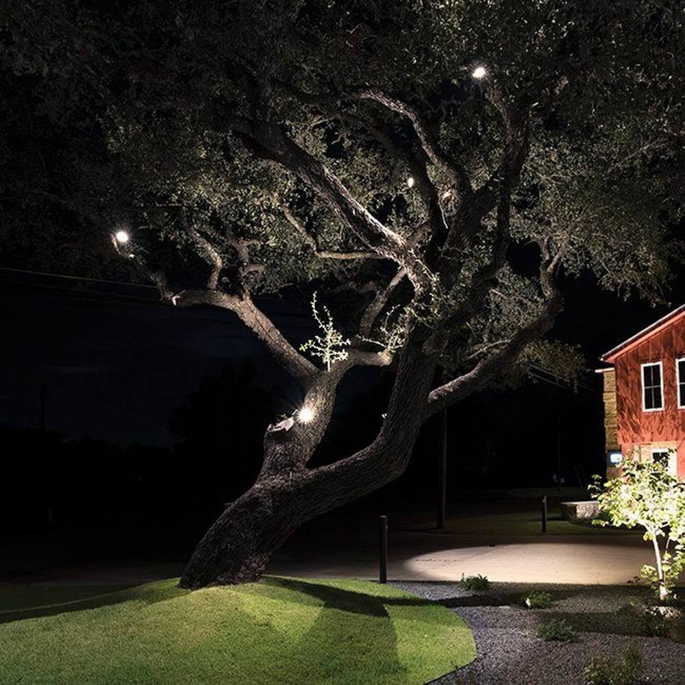 LED Landscape Accent Light 12V I8438