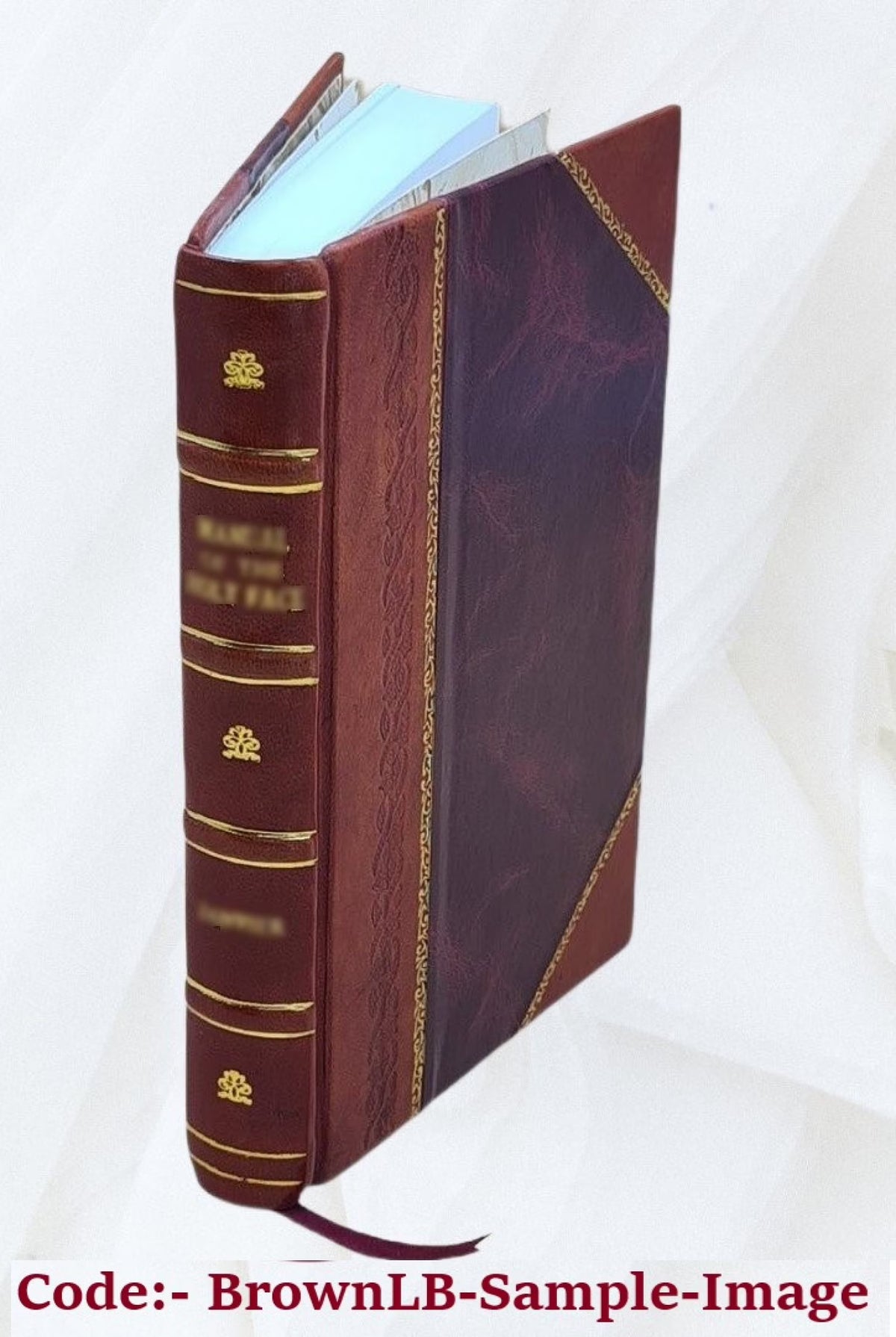 Leather Bound Book W169
