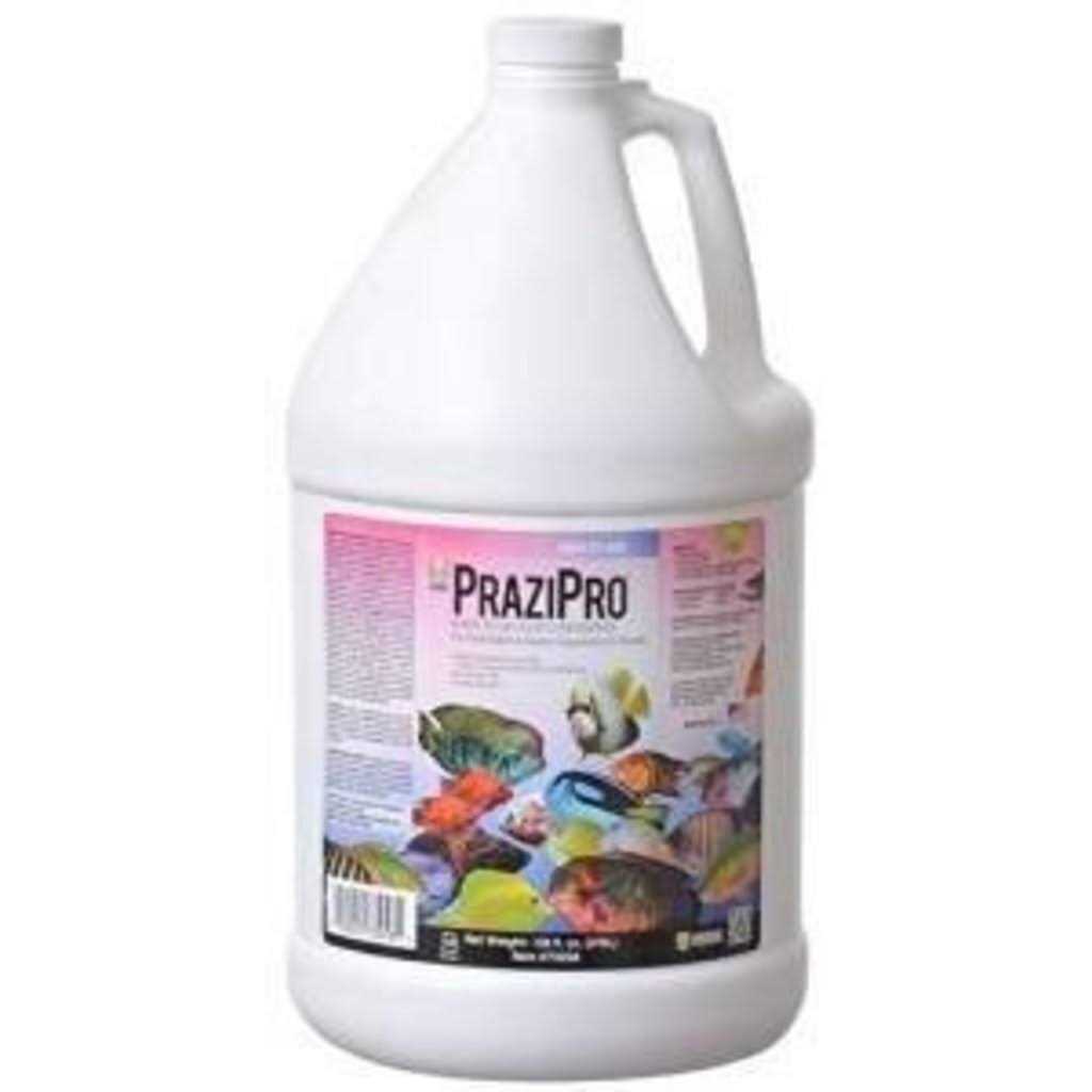 PraziPro O26700