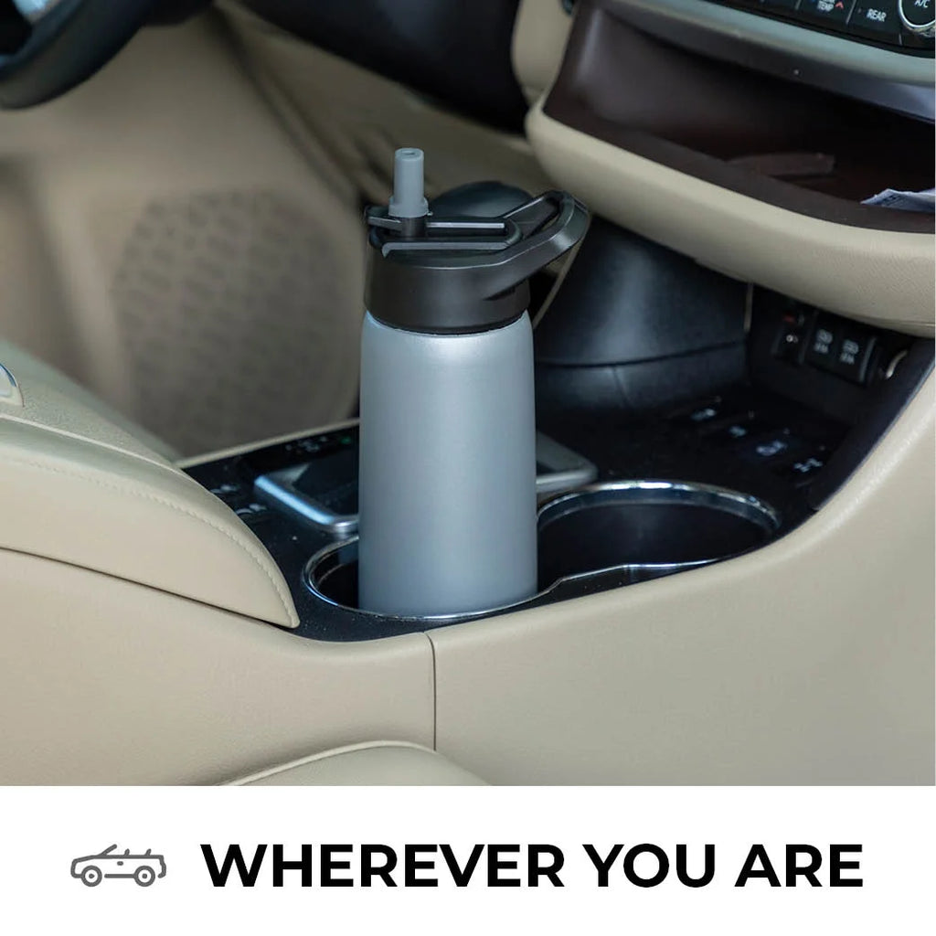 26 oz Stainless Steel Water Bottle with Straw Lid R650
