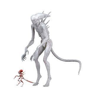 7x22 Scale Action Figure A5342