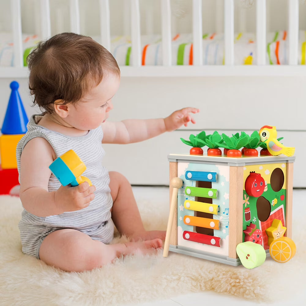 6-in-1 Wooden Blocks Shape Sorter Montessori Toys E95811