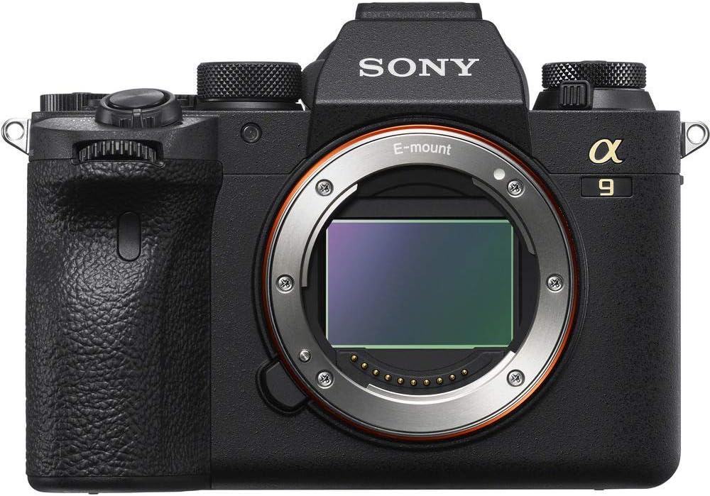 Mirrorless Digital Camera Body Only with 200-600mm Lens, 64GB Memory Card, 2 x NP-FZ-100 Battery, Case, External Charger (Renewed) G92158