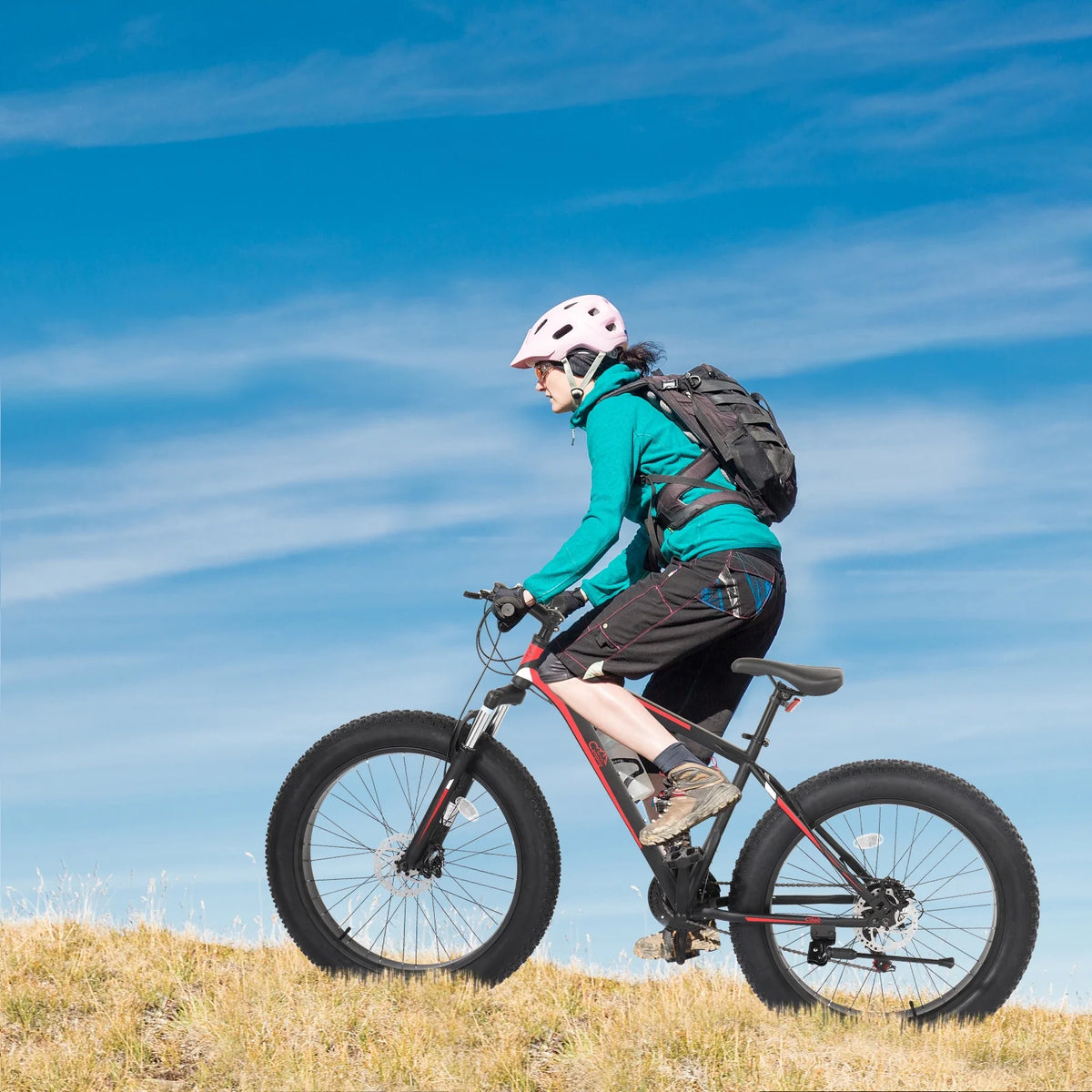 26in 4 Fat Tire Mountain Bike Z630965