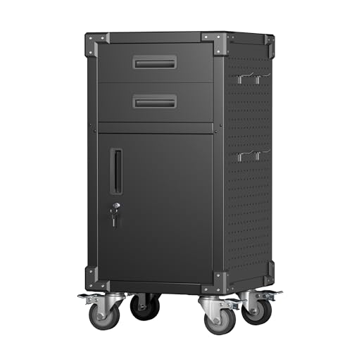 Metal Storage Cabinet with Locking Door and 2 Drawers M539