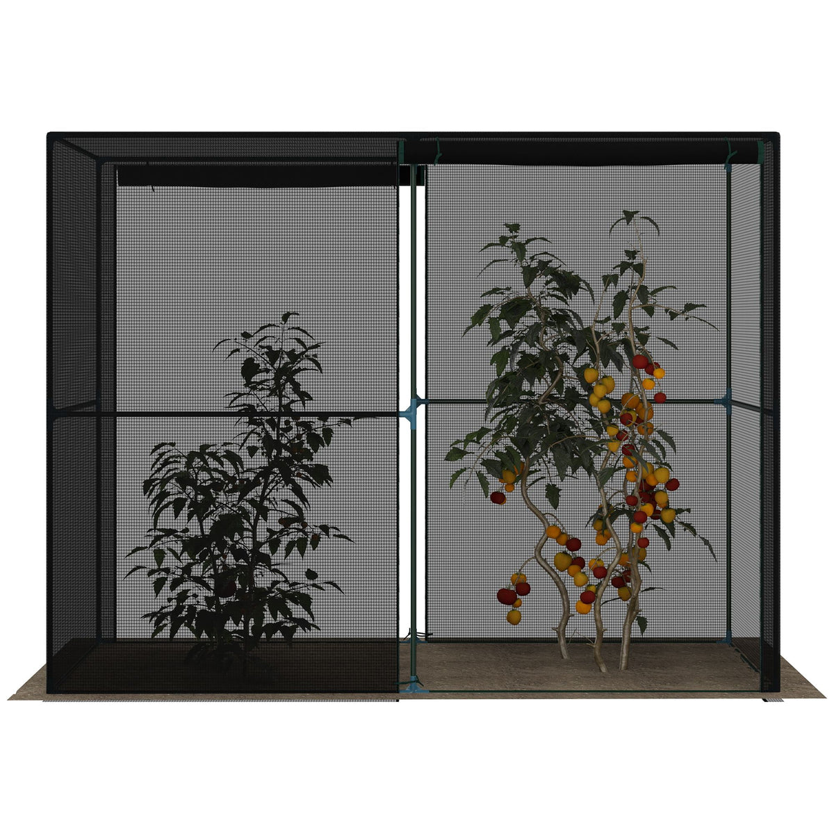 Outdoor Walk-in Crop Cage with HDPE Cover Z5448