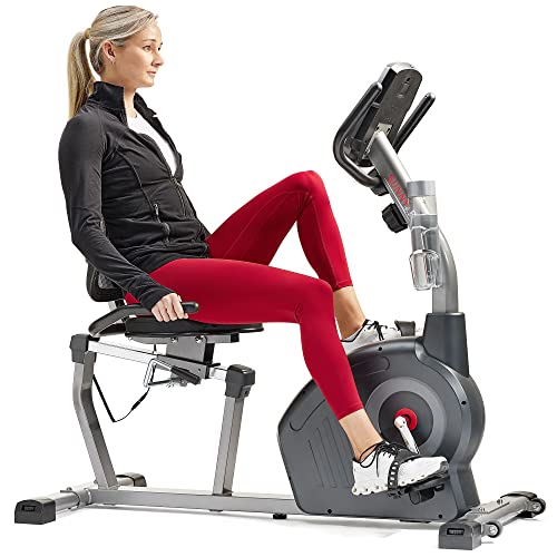 Magnetic Recumbent Bike E394