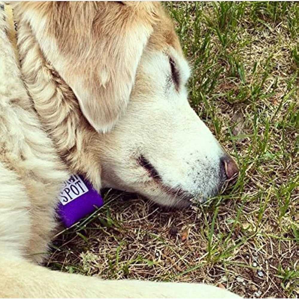 Pet Tag Silencer H885905