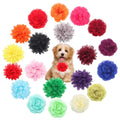 20 Pcs Multi-Color Soft Chiffon Dog Collar Flower Accessory V4551