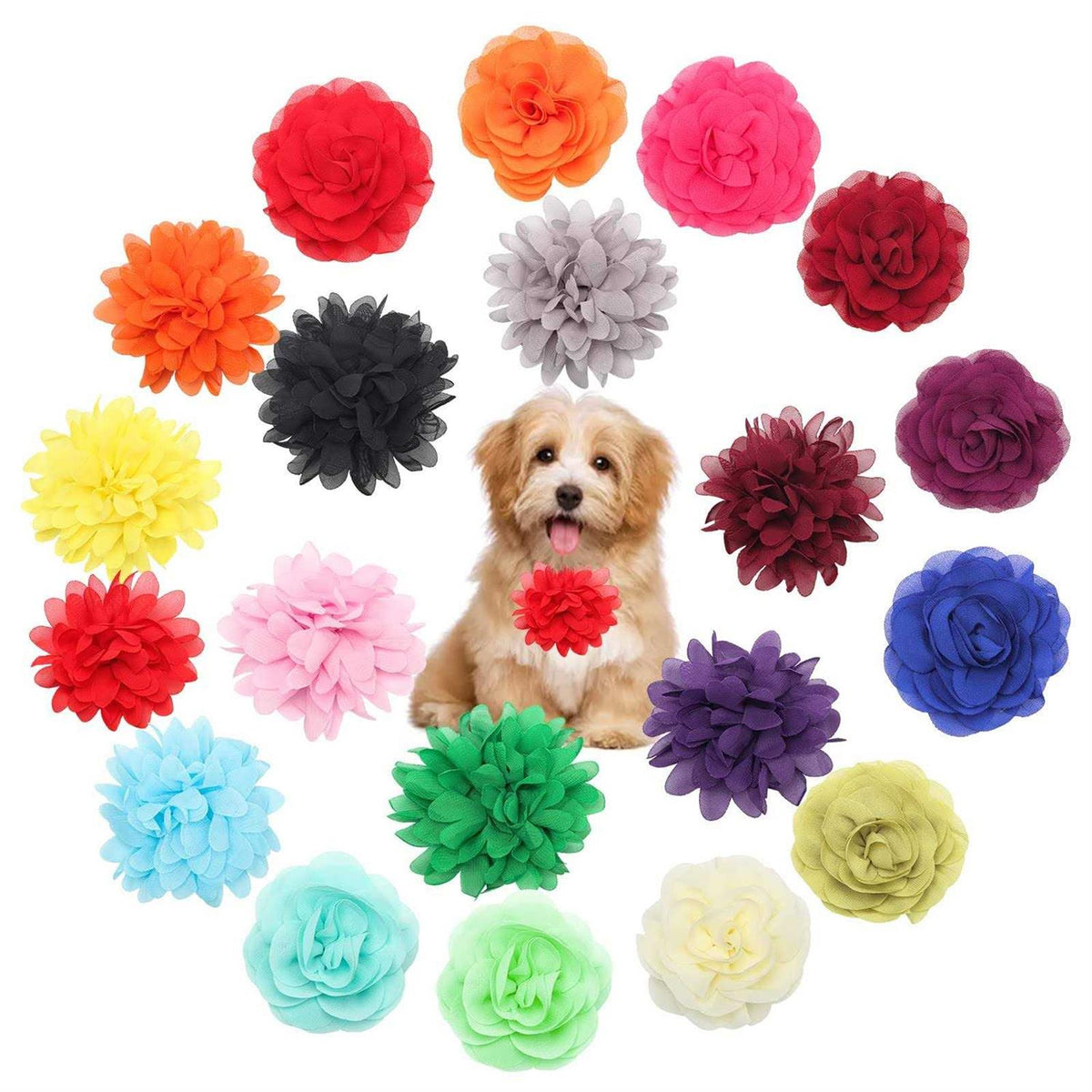 20 Pcs Multi-Color Soft Chiffon Dog Collar Flower Accessory V4551