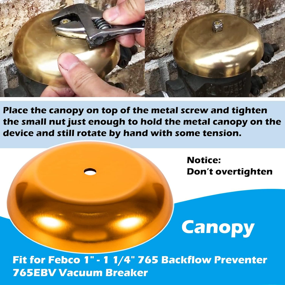 905-212 Bonnet and Poppet Repair Kit & 905-052 Check Valve Assembly Repair Kit & Canopy for Febco 765EBV 1" & 1-1/4" 765 Backflow Preventer and Vacuum Breaker Pack of 2 L48074