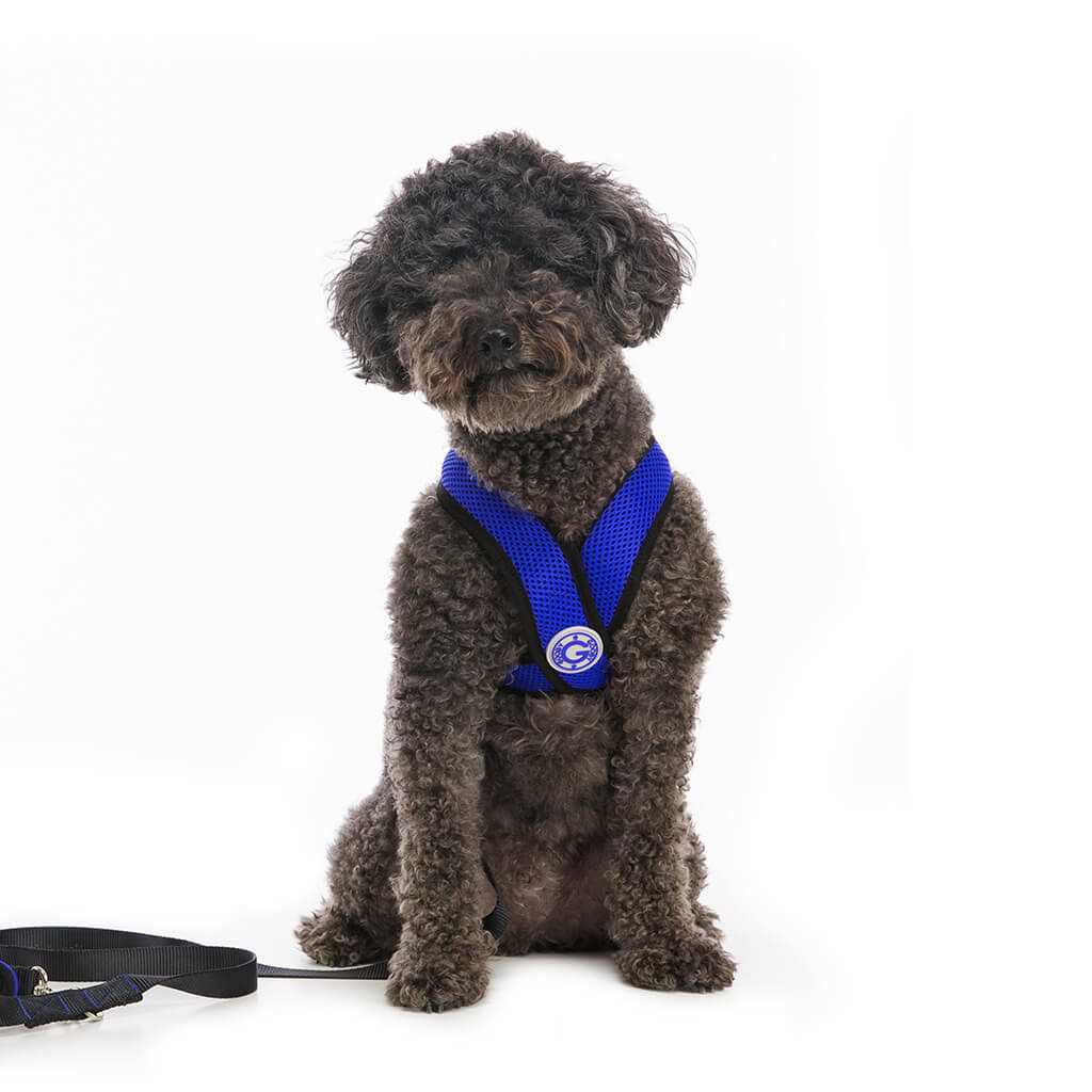 Step-In Dog Harness F540