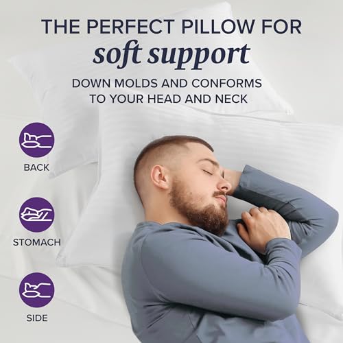 Queen Size Set of 2 Down Bed Pillows B482364