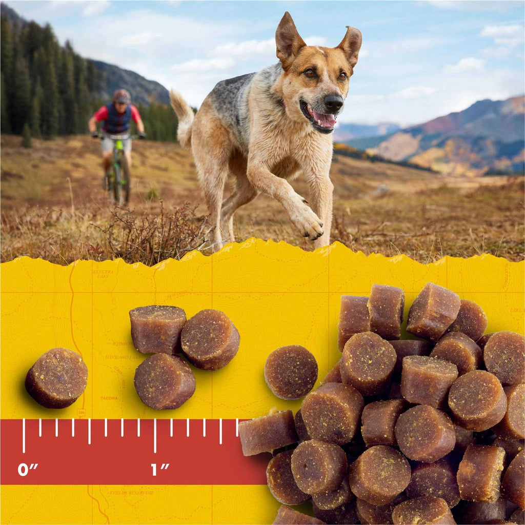 Dog Treats N230788