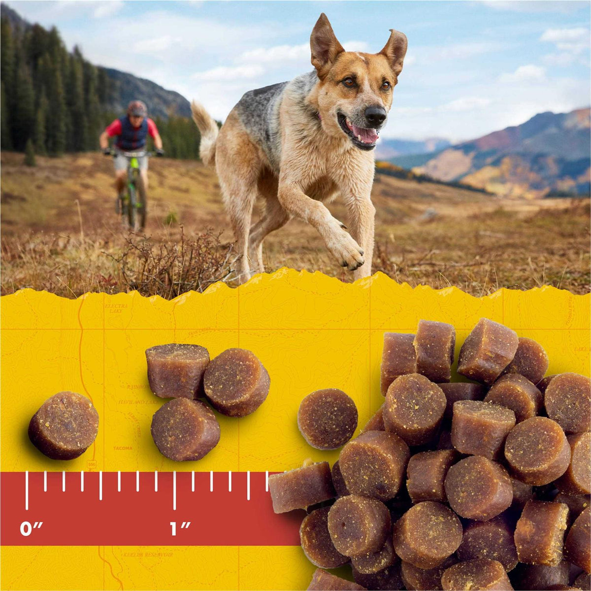 Dog Treats N230788