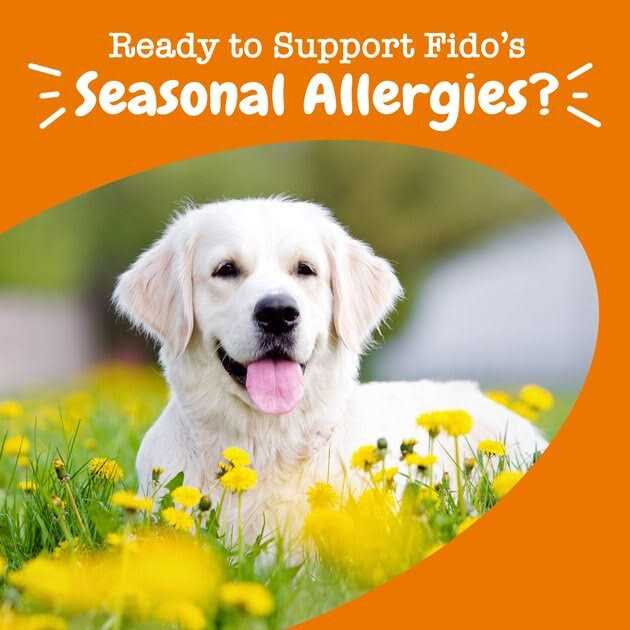 Salmon Allergy & Immune Bites for Dogs T3245