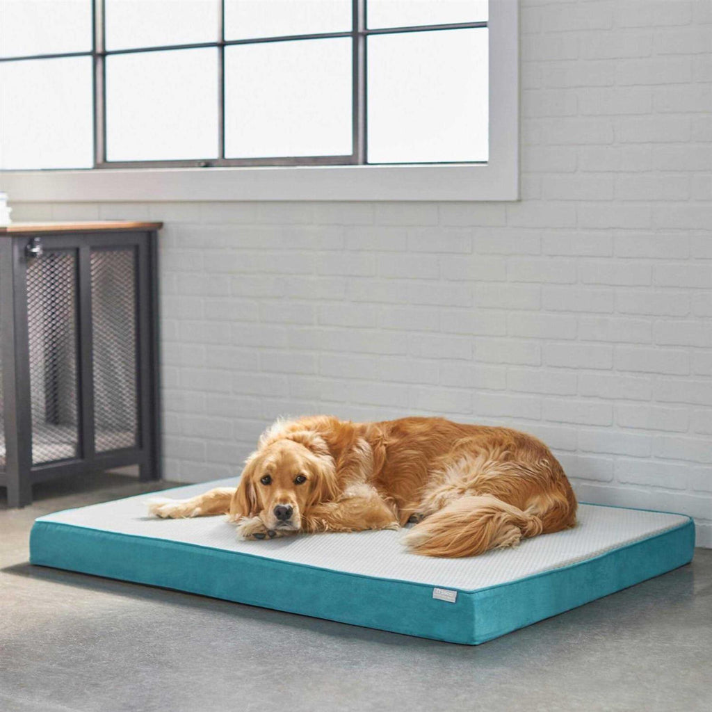 Large Cooling Orthopedic Dog Bed with Removable Cover P59365