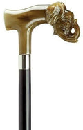 Black Maple Cane B209572
