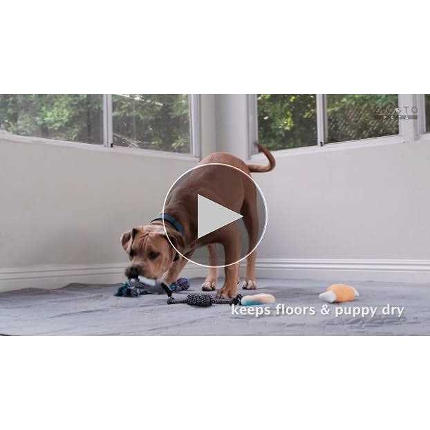 Washable XXL Puppy Whelping Pad 72x72 W139114