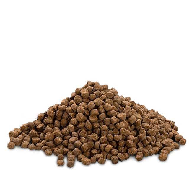 High Protein Puppy Food A85005