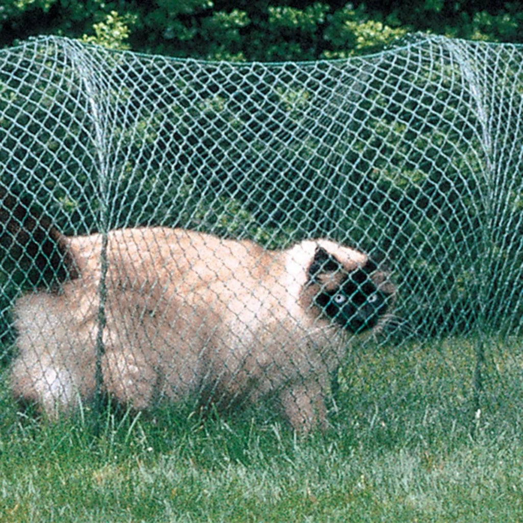 Green Outdoor Cat Enclosure T72314