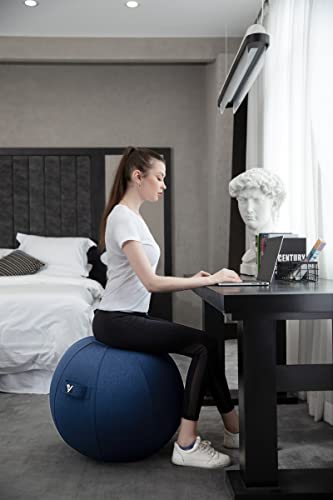 Exercise Ball Chair with Cover and Pump O44845