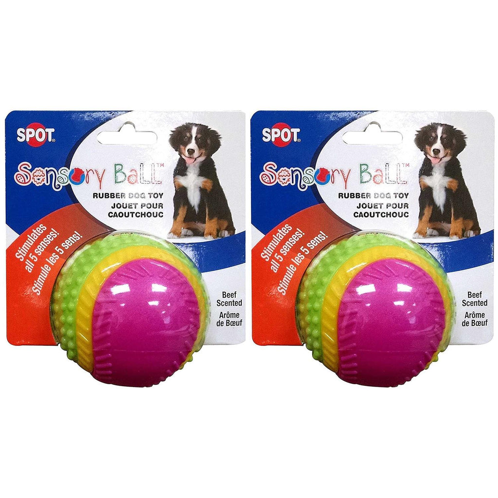 Sensory Ball Dog Toy O54601