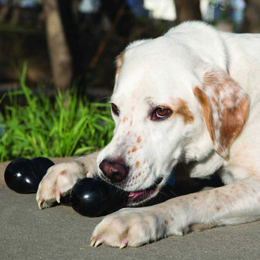 Dog Toy Bone G681093