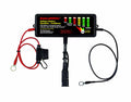 48V On-Board Desulfator T879