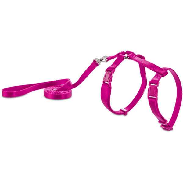 Harness Z284