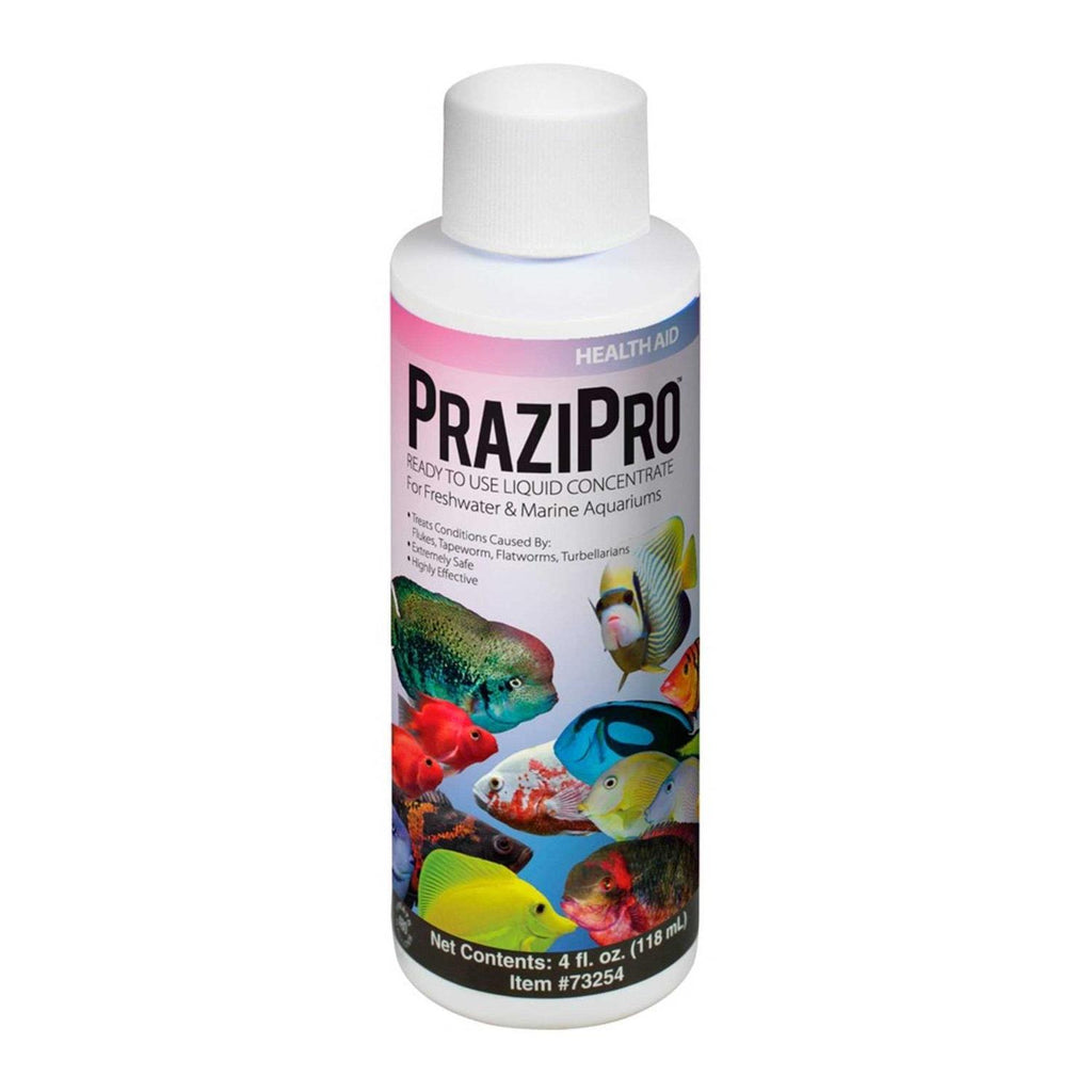 PraziPro O26700