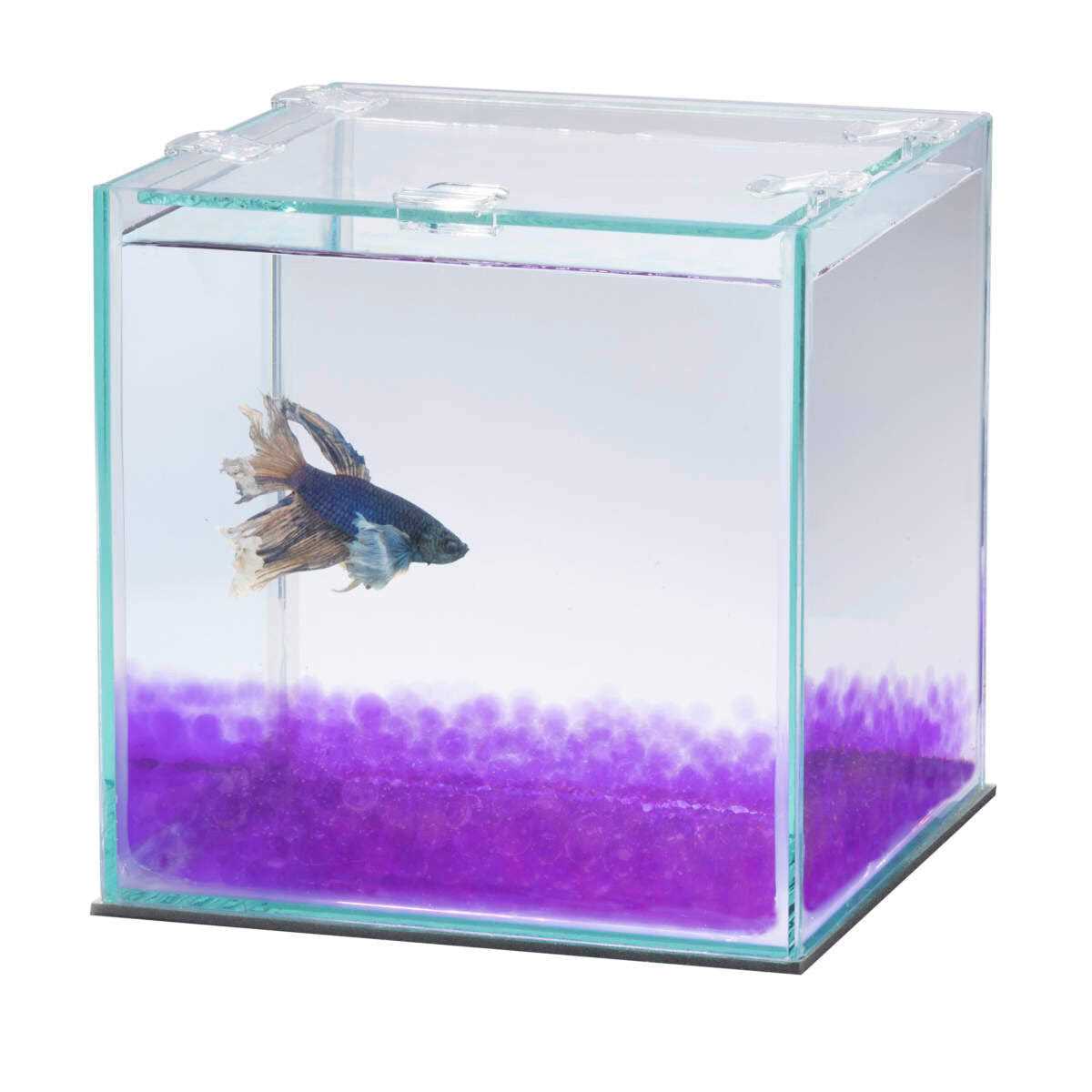 Betta Beads I1658