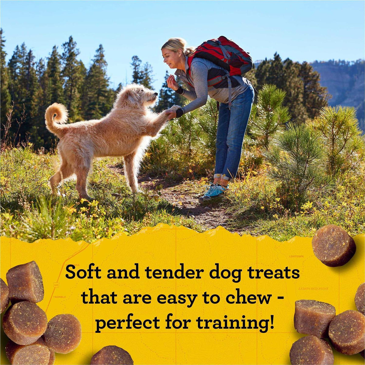 Dog Treats N230788