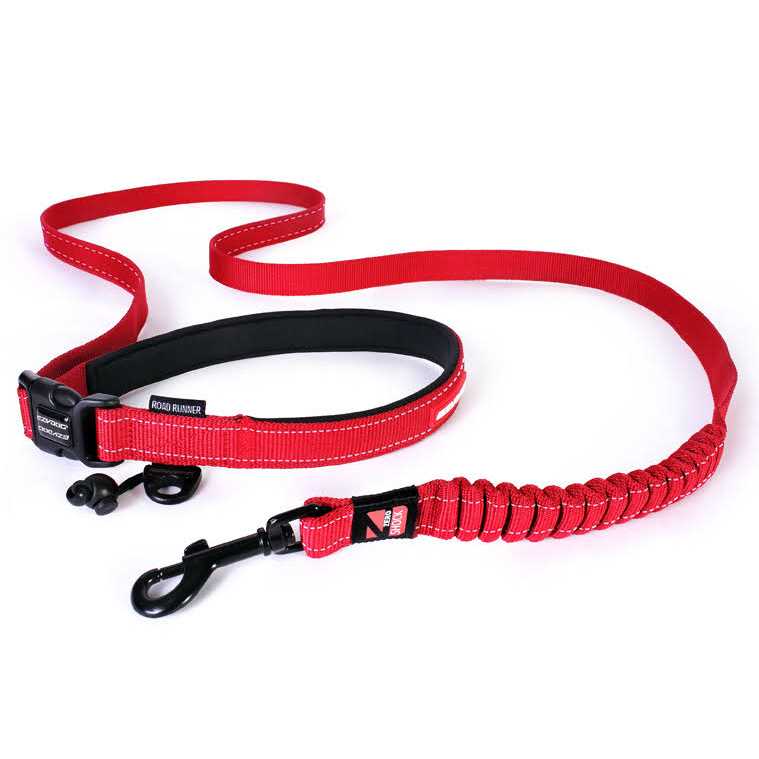Leash T875