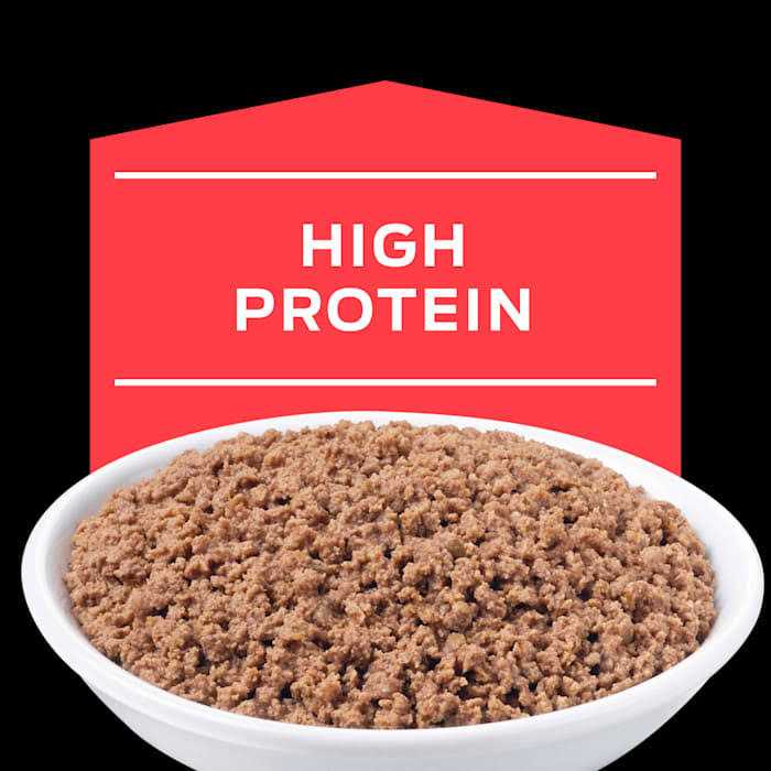 Cat Food 5.5 Oz. Can S818831