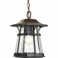 1-Light Casual Hanging Lantern J21840