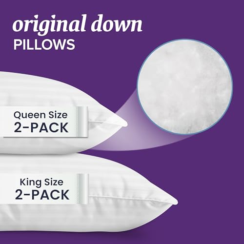 Queen Size Set of 2 Down Bed Pillows B482364