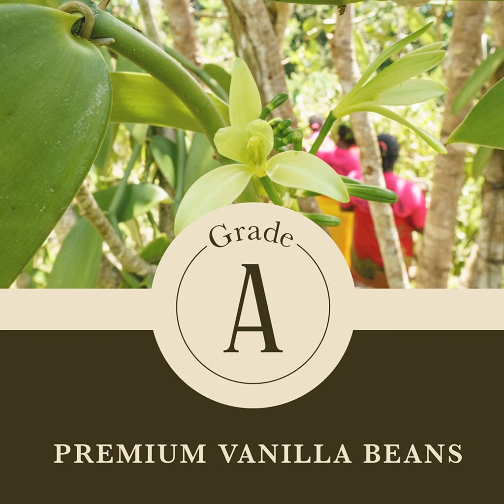 Pure Vanilla Powder 24 Ounce D1334