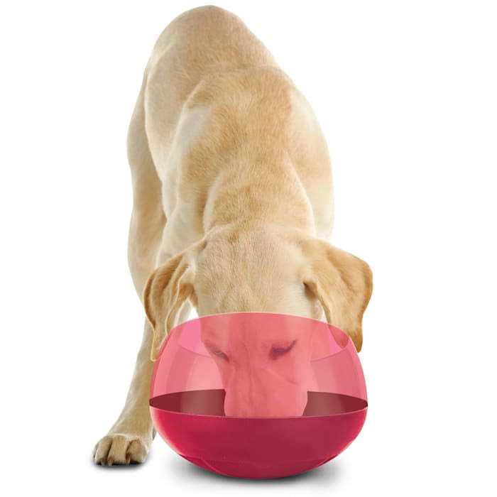 Burgundy Slow Feeder Dog Bowl Q43195