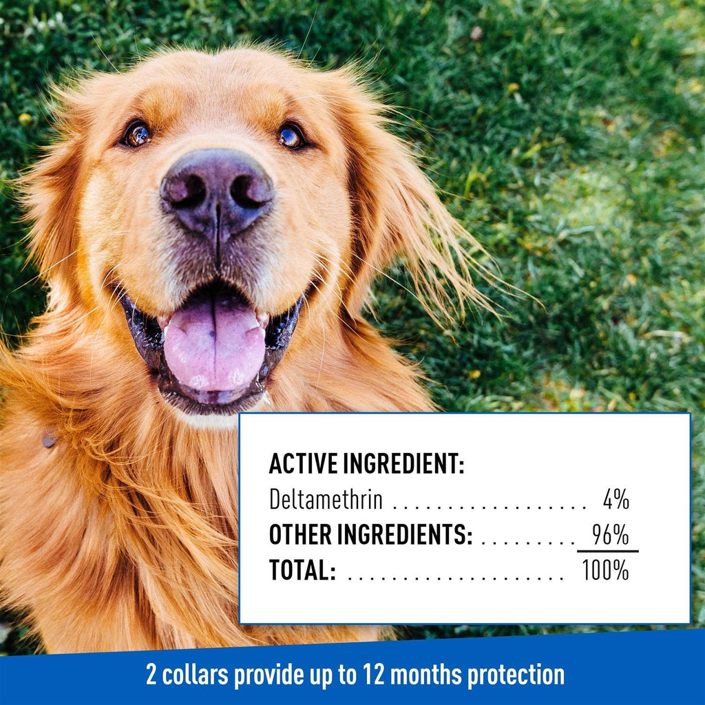 Flea Tick Collar for Dogs Puppies H9976