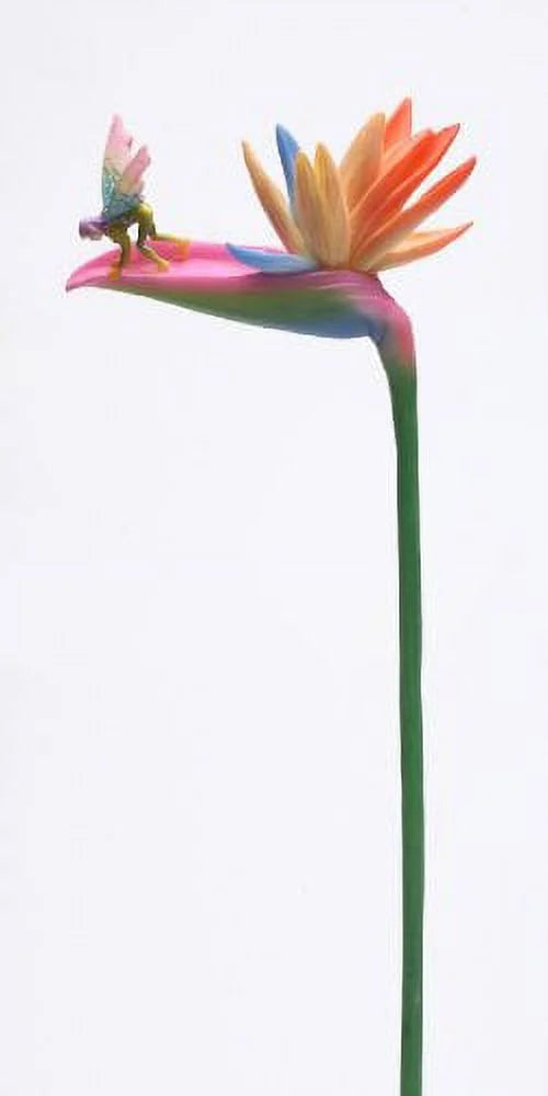 Bird of Paradise Statue Figurine J39101